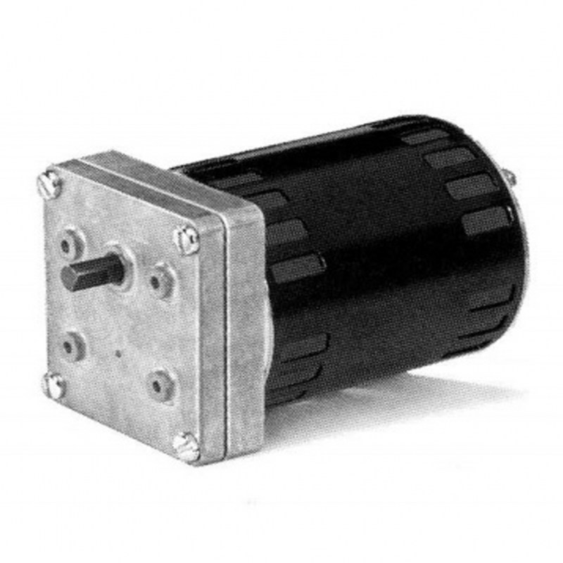 EMH - AC Induction Motor